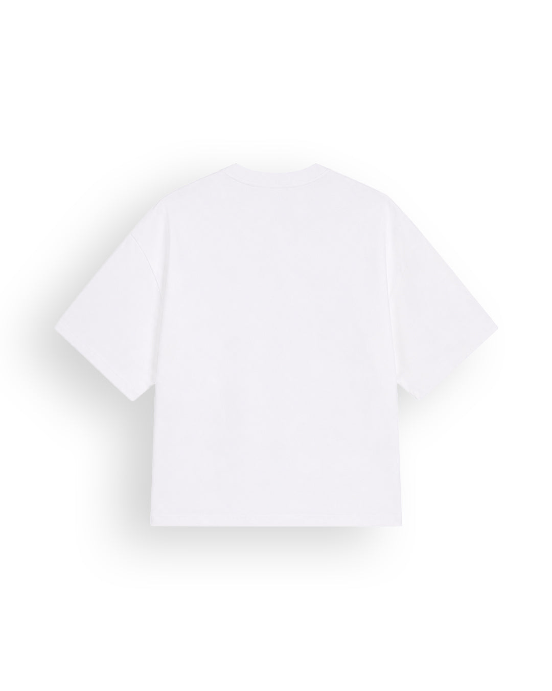 THE ASCENCION WHITE T-SHIRT