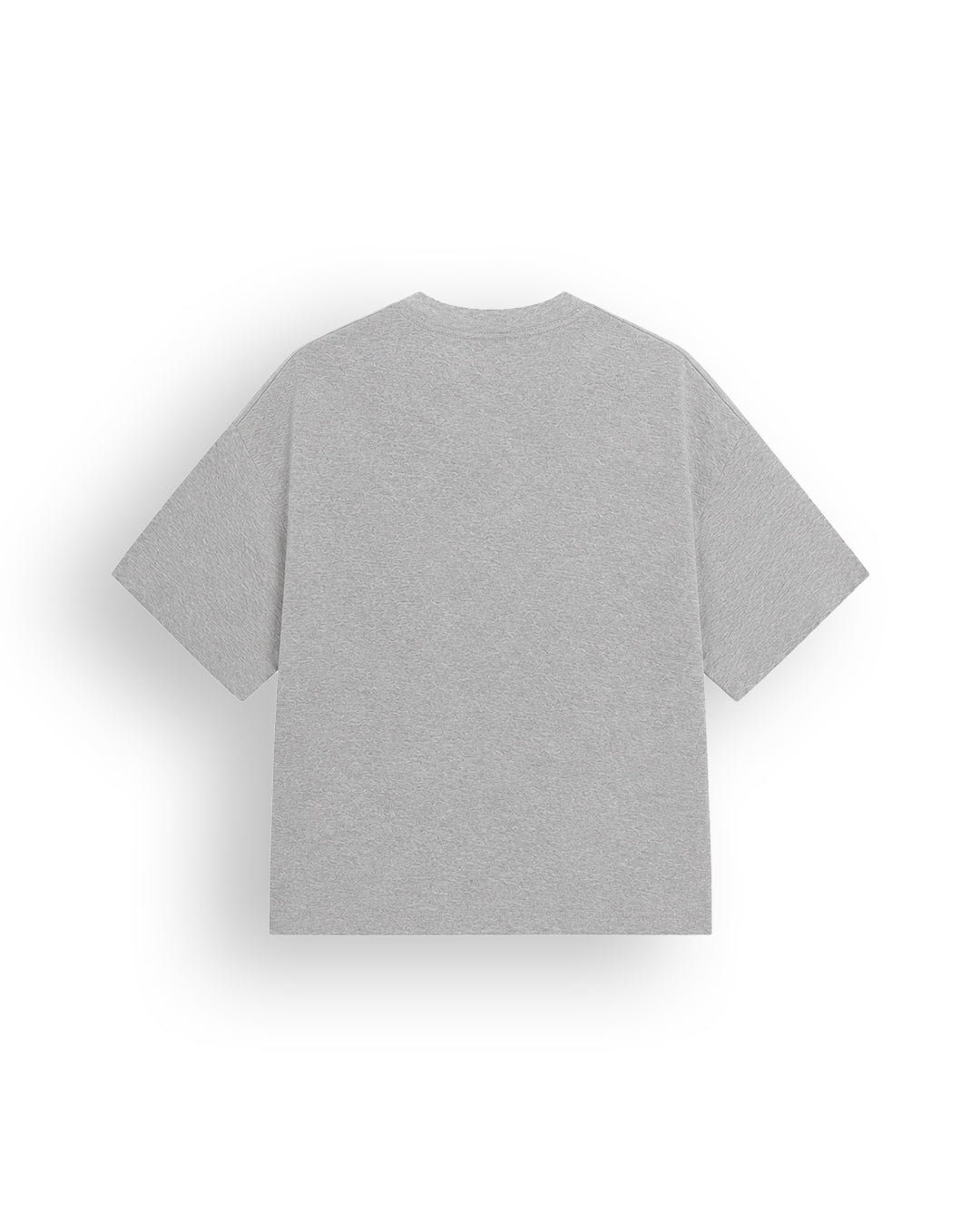 THE ASCENCION GREY T-SHIRT